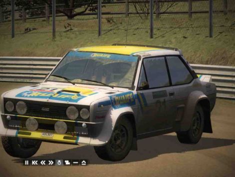rally1.jpg
