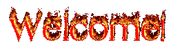 wlcome.gif